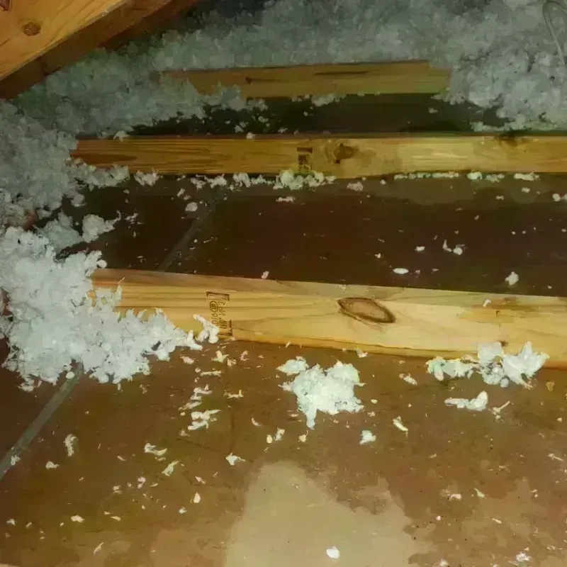 Attic Water Damage in Attleboro, MA