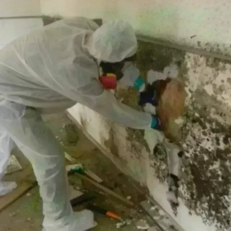 Mold Remediation and Removal in Attleboro, MA